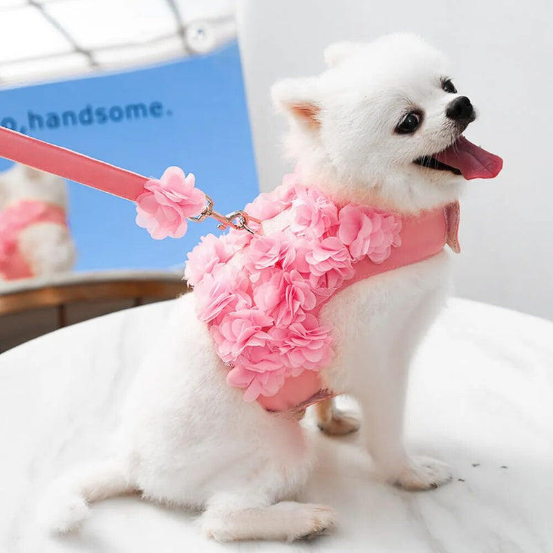 Vestido de Luxo Pet Flower Girl