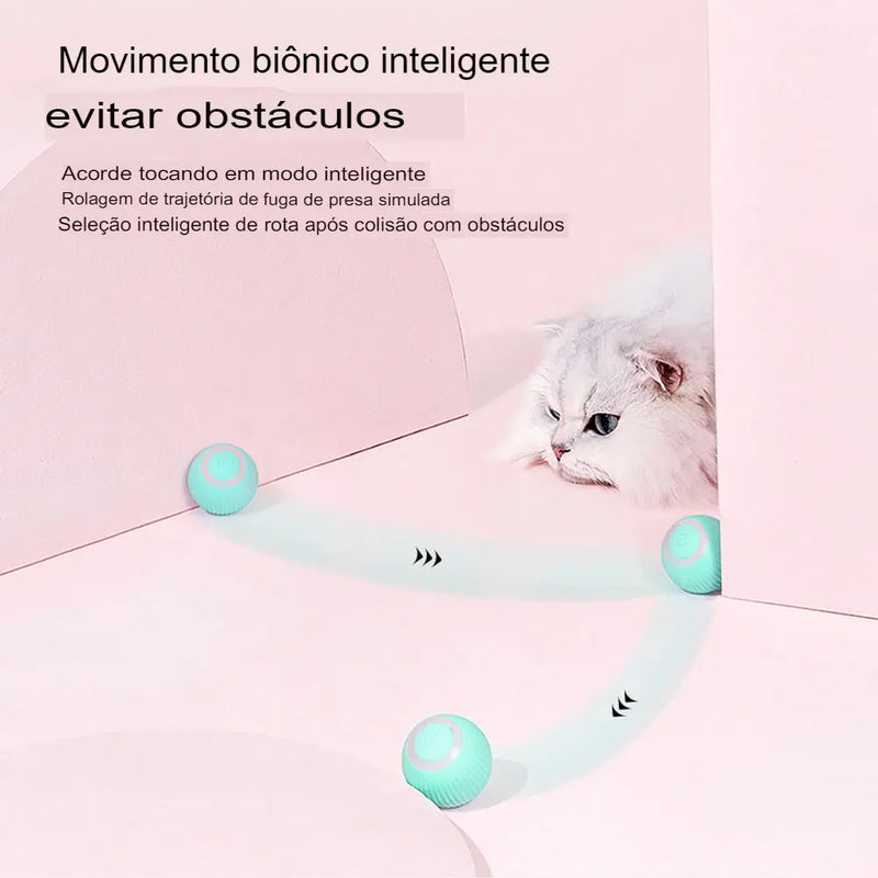 Bola Inteligente para Gatos